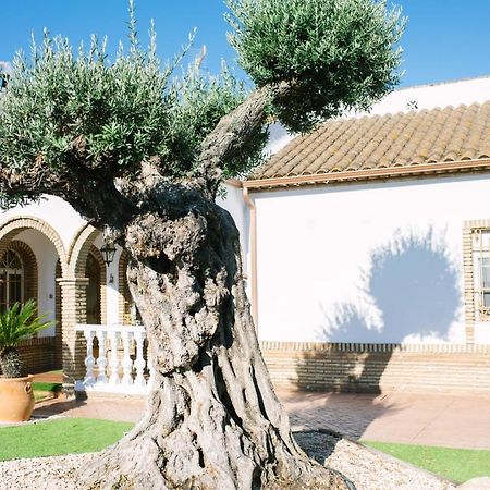 Casa Luxury "El Olivo De Cordoba" Con Jacuzzi Y Parking Privado Guest House Екстериор снимка
