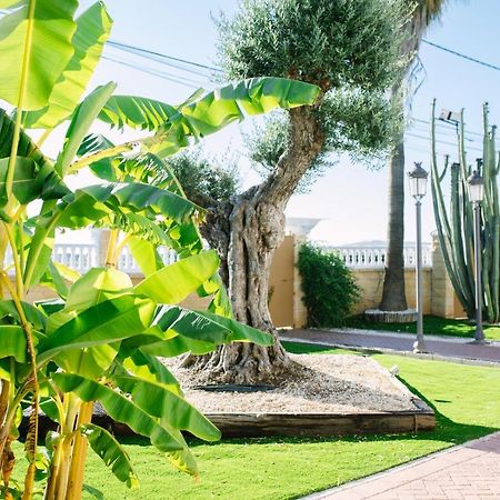 Casa Luxury "El Olivo De Cordoba" Con Jacuzzi Y Parking Privado Guest House Екстериор снимка