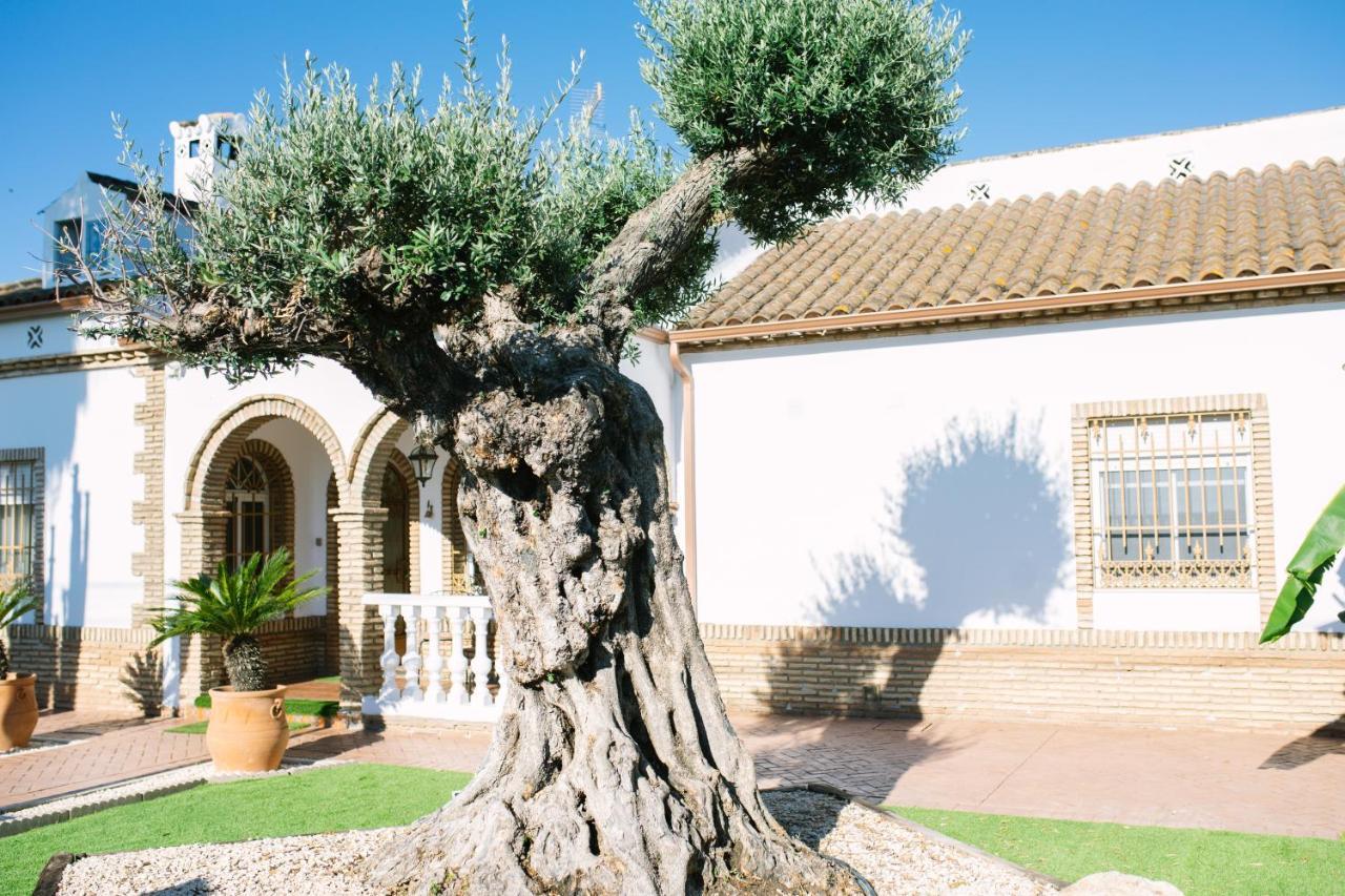 Casa Luxury "El Olivo De Cordoba" Con Jacuzzi Y Parking Privado Guest House Екстериор снимка