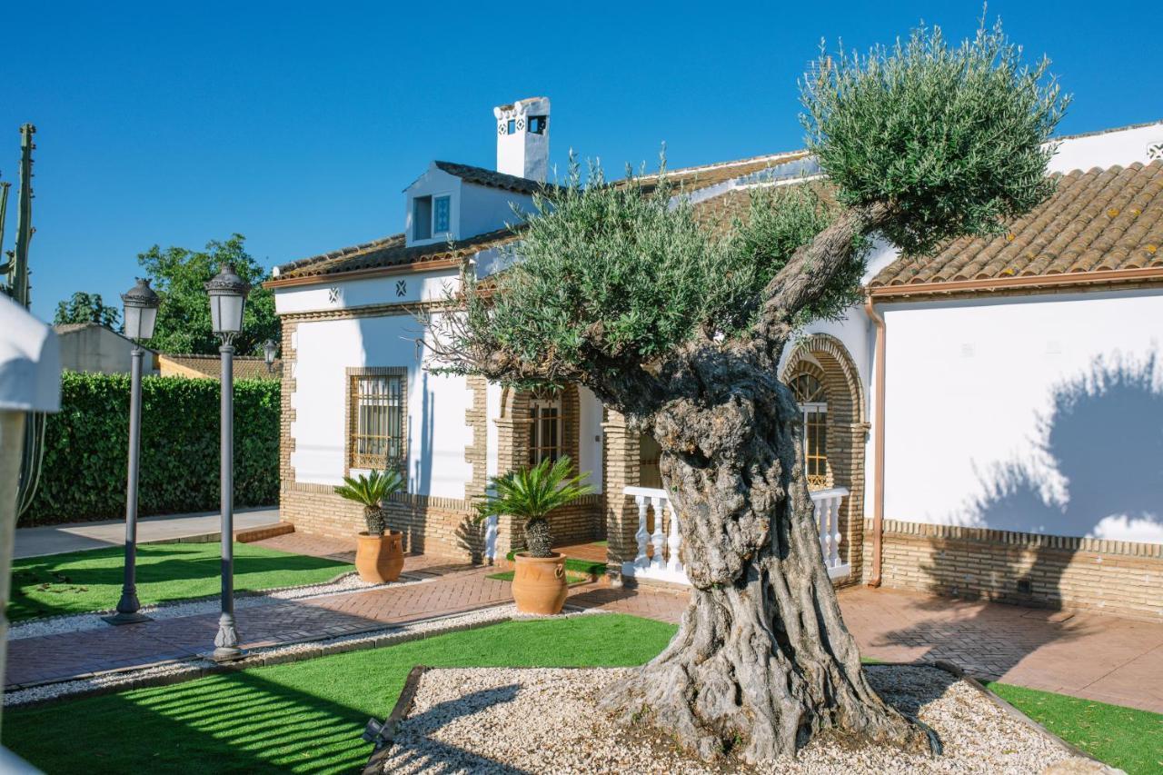 Casa Luxury "El Olivo De Cordoba" Con Jacuzzi Y Parking Privado Guest House Екстериор снимка