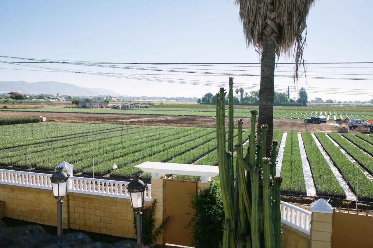 Casa Luxury "El Olivo De Cordoba" Con Jacuzzi Y Parking Privado Guest House Екстериор снимка