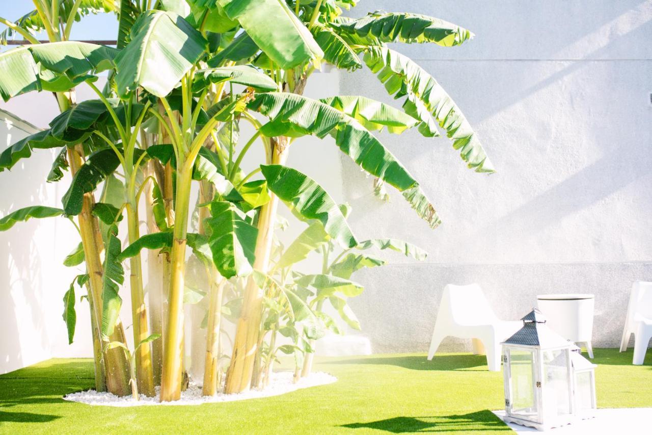 Casa Luxury "El Olivo De Cordoba" Con Jacuzzi Y Parking Privado Guest House Екстериор снимка